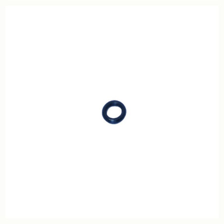 O-Ring +O-ring OE specific