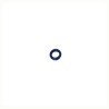 O-Ring +O-ring OE specific
