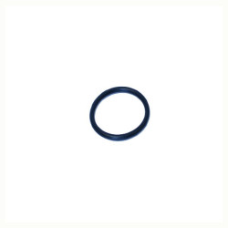 O-Ring +O-ring OE specific
