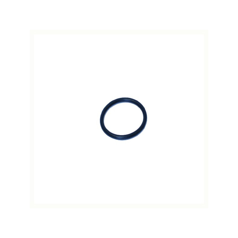 O-Ring +O-ring OE specific
