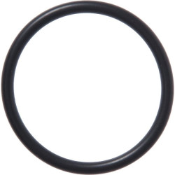 O-Ring +O-ring OE specific