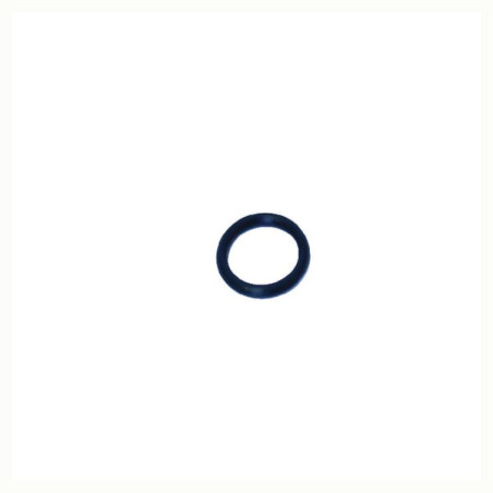 O-Ring +O-ring OE specific