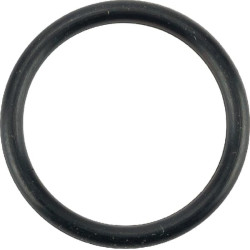 O-Ring +O-ring OE specific