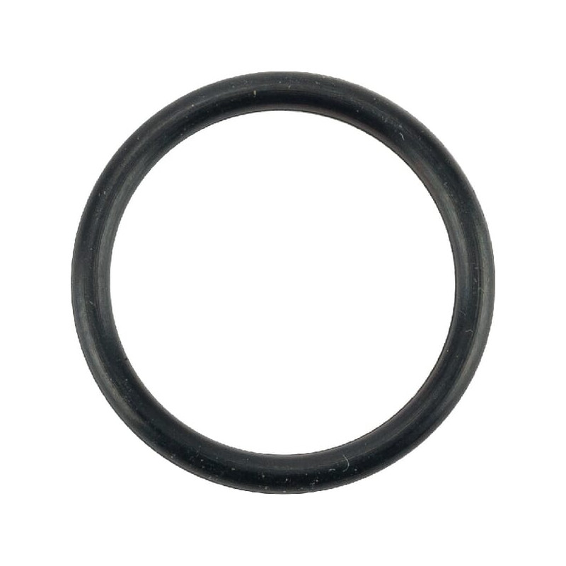O-Ring +O-ring OE specific