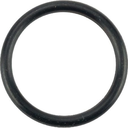 O-Ring +O-ring OE specific