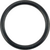 O-Ring +O-ring OE specific