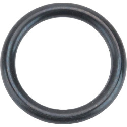 O-Ring +O-ring OE specific