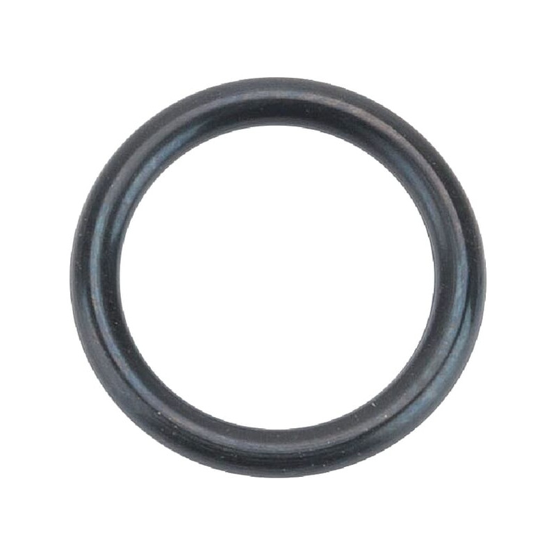 O-Ring +O-ring OE specific