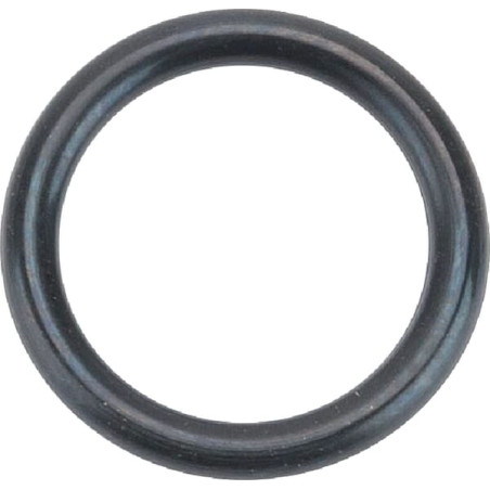 O-Ring +O-ring OE specific