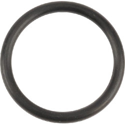 O-Ring +O-ring OE specific