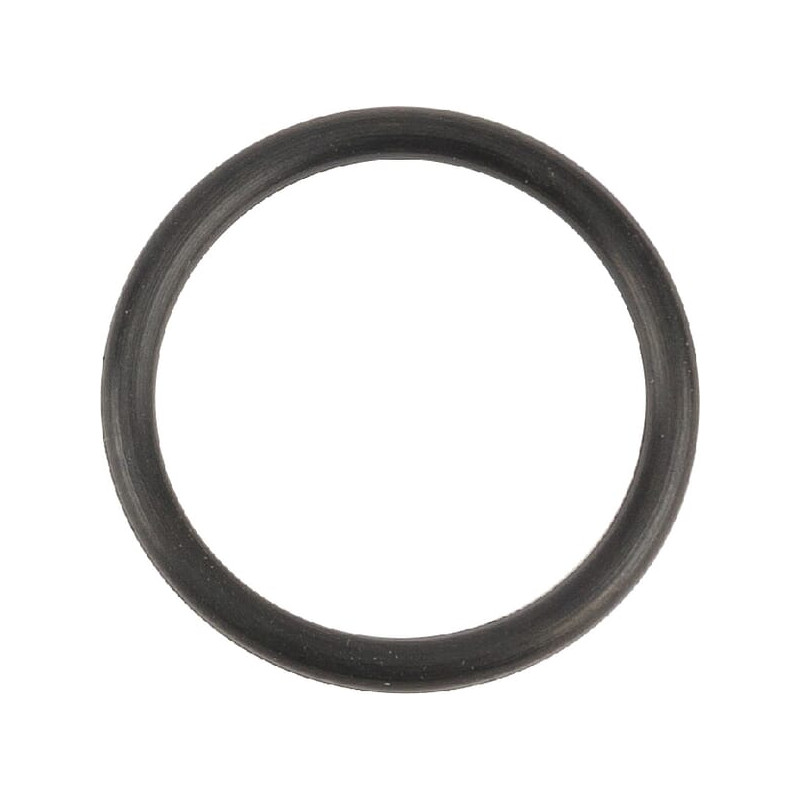 O-Ring +O-ring OE specific