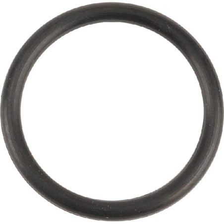 O-Ring +O-ring OE specific