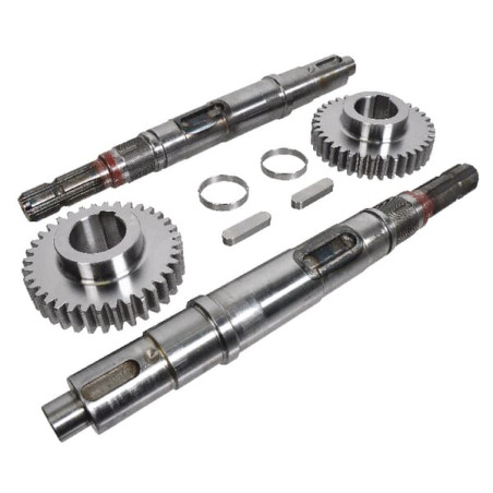 4440001339 Nowy rozrząd BR-EVO 90 D - Battioni Pagani ustawić