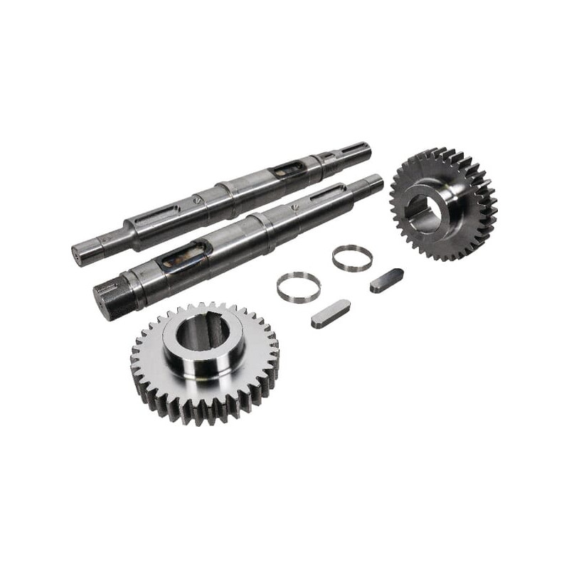 4440001343 Nowy rozrząd BR-EVO 170 P-H - Battioni Pagani ustawić