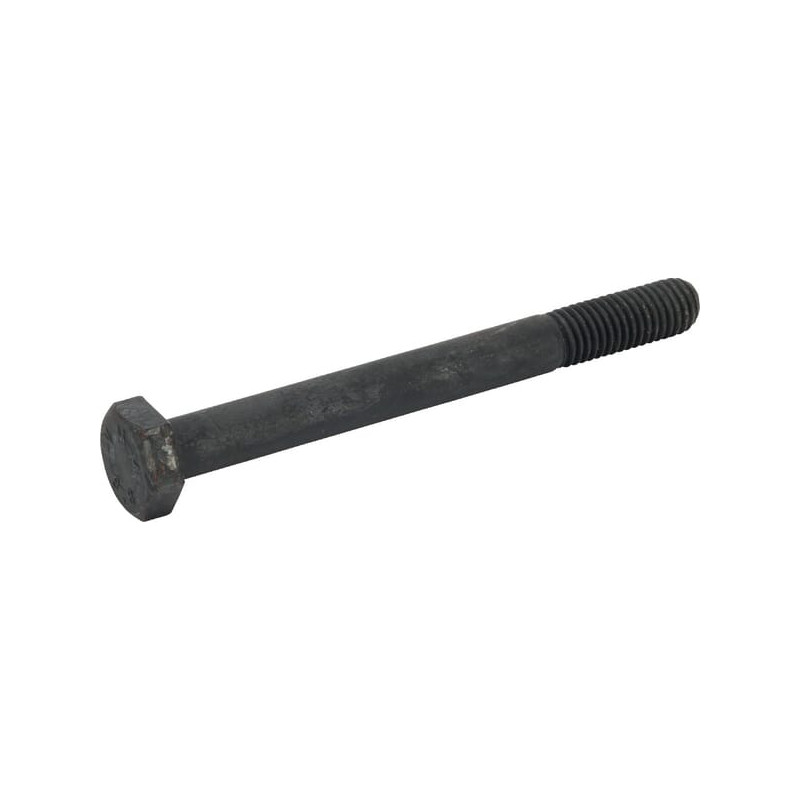5050107025 Śruba - M 10 x 100 Battioni Pagani 5061-5050107025