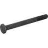 5050107025 Śruba - M 10 x 100 Battioni Pagani 5061-5050107025