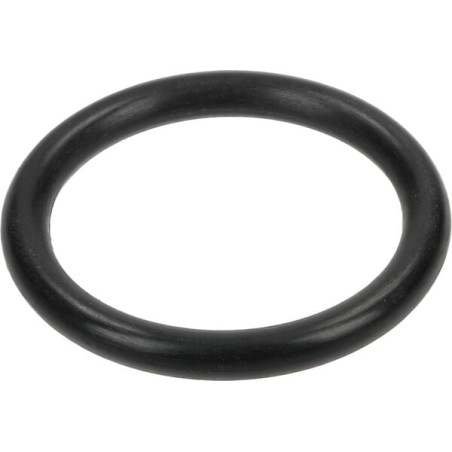 O-ring