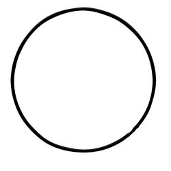 Oring 1009659M1