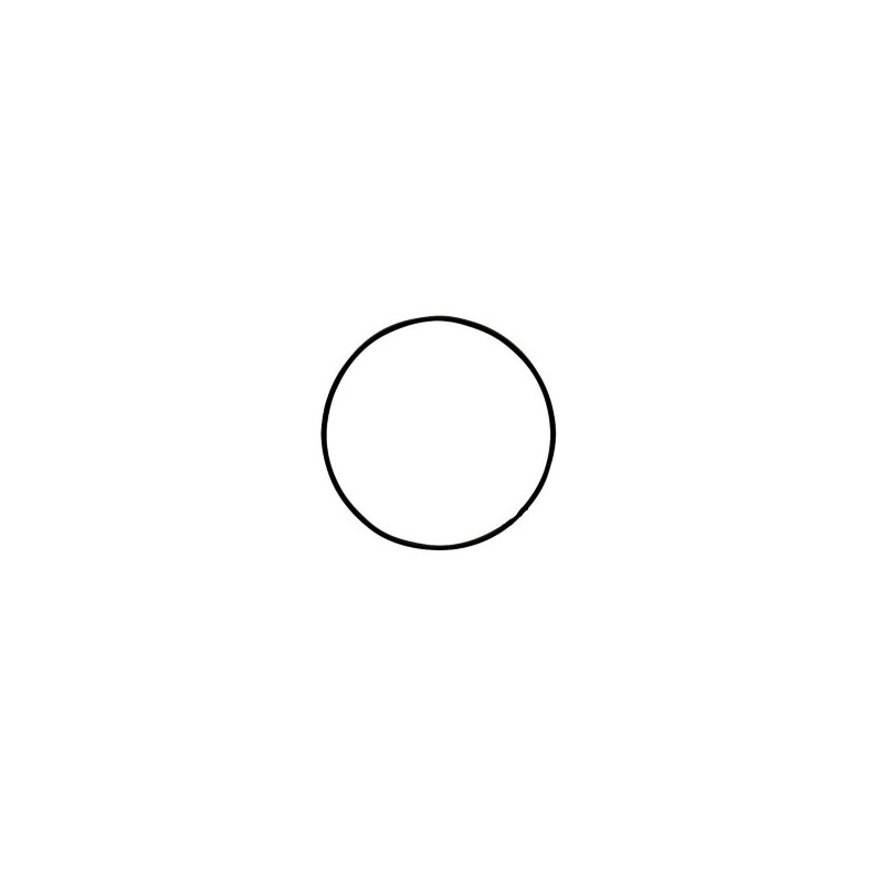 Oring 1009659M1