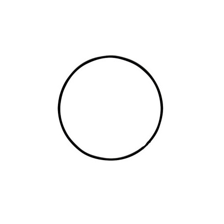 Oring 1009659M1