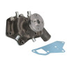 Renault 6005013394 Pompa wody Ergis 2000001655726