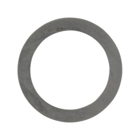 Carraro 033481, Simmering 55x68x10