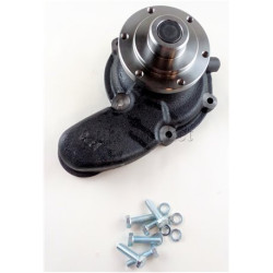 Pompa wody Bizon Super Z-056 PWO 450 BORIMEX