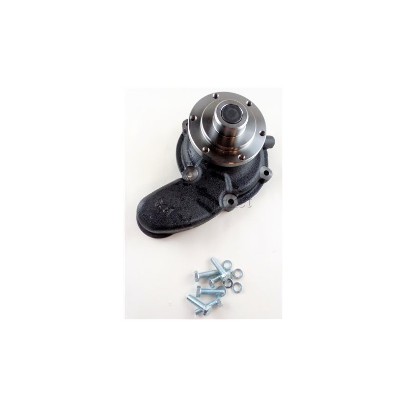 Pompa wody Bizon Super Z-056 PWO 450 BORIMEX
