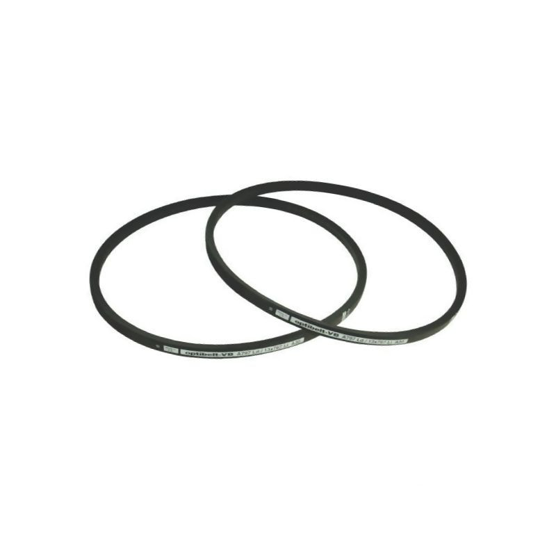 Pasek klinowy 22x2501mm Ld C95" Optibelt 4014486037685