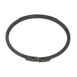 ZF 0630.501.173 Pierścień zabezpieczający 0630501173