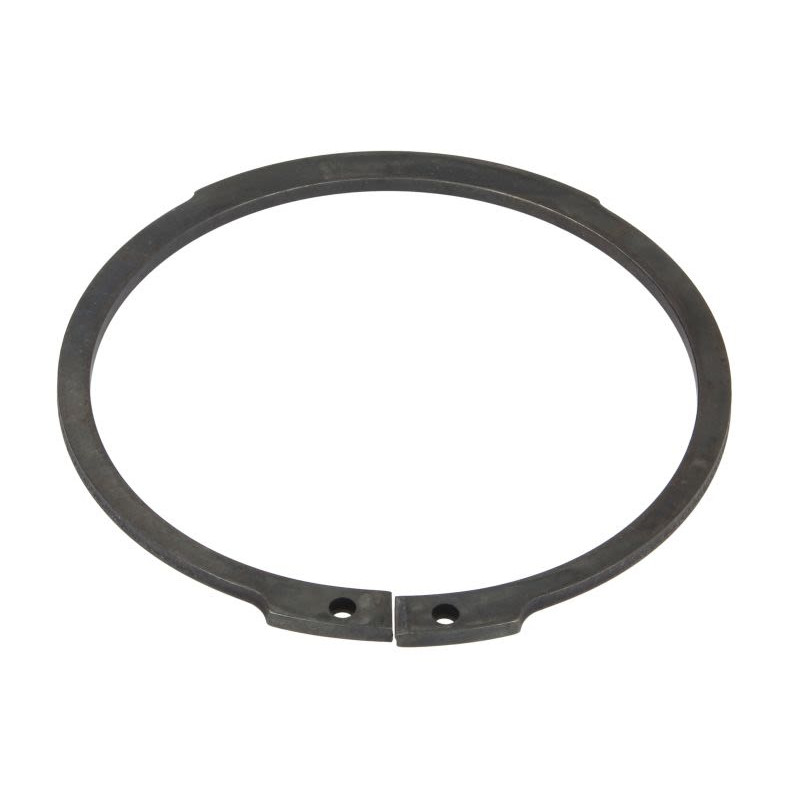 ZF 0630.501.173 Pierścień zabezpieczający 0630501173