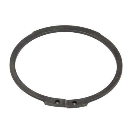 ZF 0630.501.173 Pierścień zabezpieczający 0630501173