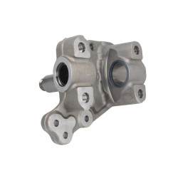 ZF 0501318100ZF Zwrotnica zawieszenia koła 0501318100