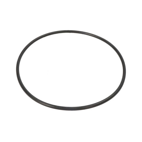 ZF 0634.303.345 Oring 0634303345