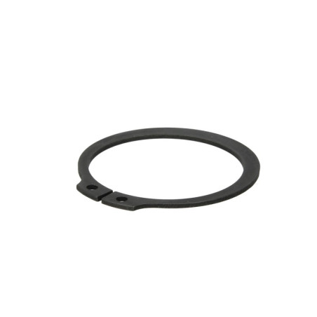 ZF 0630.501.286 Zabezpieczenie wałka pośredniego mech. skrzyni biegów 0630501286