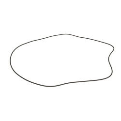 ZF 0501.325.573 Oring 0501325573