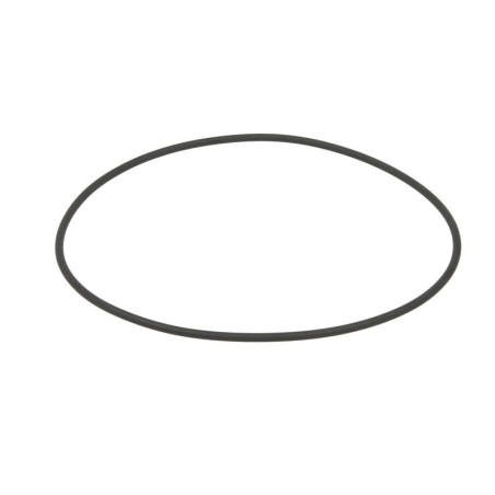 ZF 0634.316.115 Oring 0634316115