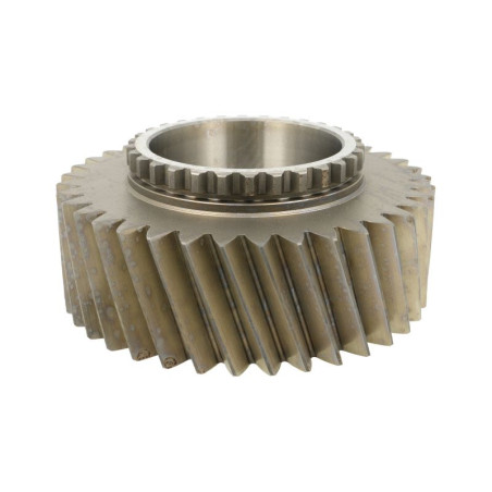ZF 1325.304.010 Koło zębate skrzyni biegów 1325304010