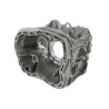 ZF 1325.201.053 Obudowa manualnej skrzyni biegów 1325201053
