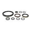 ZF 1315.298.002 Zestaw uszczelek skrzyni biegów 1315298002