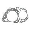 ZF 0501.321.975 Uszczelka autom. skrzyni biegów 0501321975