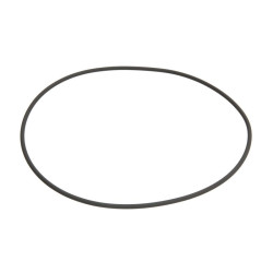 ZF 0501.323.690 Oring 0501323690