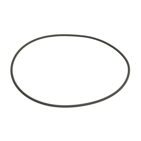 ZF 0501.323.690 Oring 0501323690