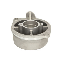 ZF 0501.301.232 Tłok cylindra manualnej skrzyni biegów 0501301232