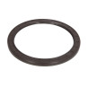 ZF 0734.300.666 Uszczelniacz mostu tył 0734300666