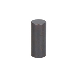 ZF 0731.201.423 Element mostu 0731201423