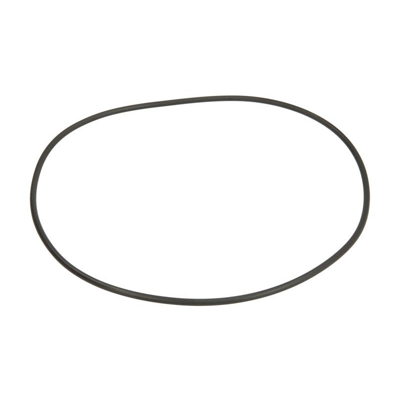 ZF 0750.112.216 Oring 0750112216