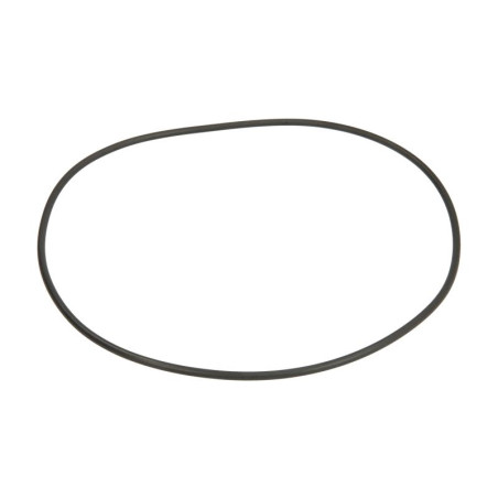 ZF 0750.112.216 Oring 0750112216