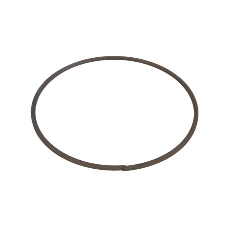 ZF 0730.513.904 Pierścień zabezpieczający 0730513904