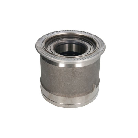 ZF 0501.218.234 Zestaw naprawczy piasty koła 0501218234